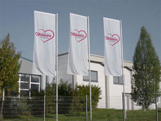 Firmenfahnen kaufen Fellbach Fahnenmast Montage Fellbach